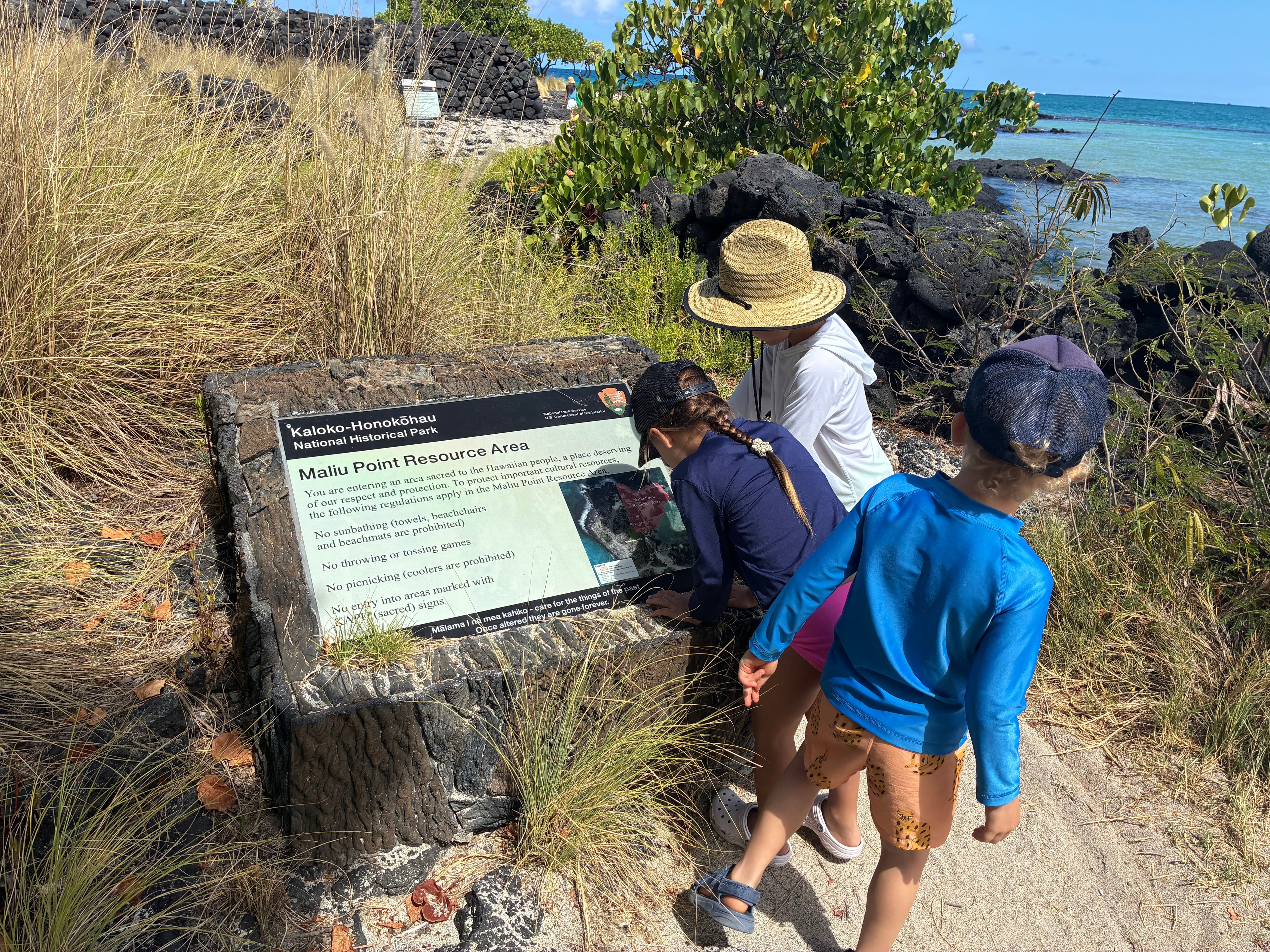 Children on a field trip to a local Kona farm