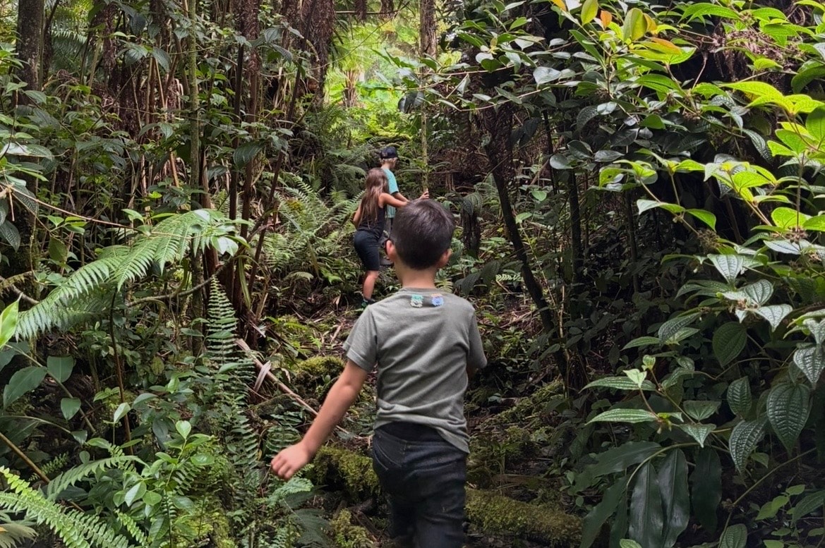 One acre of tropical forest at Kona Nature School
