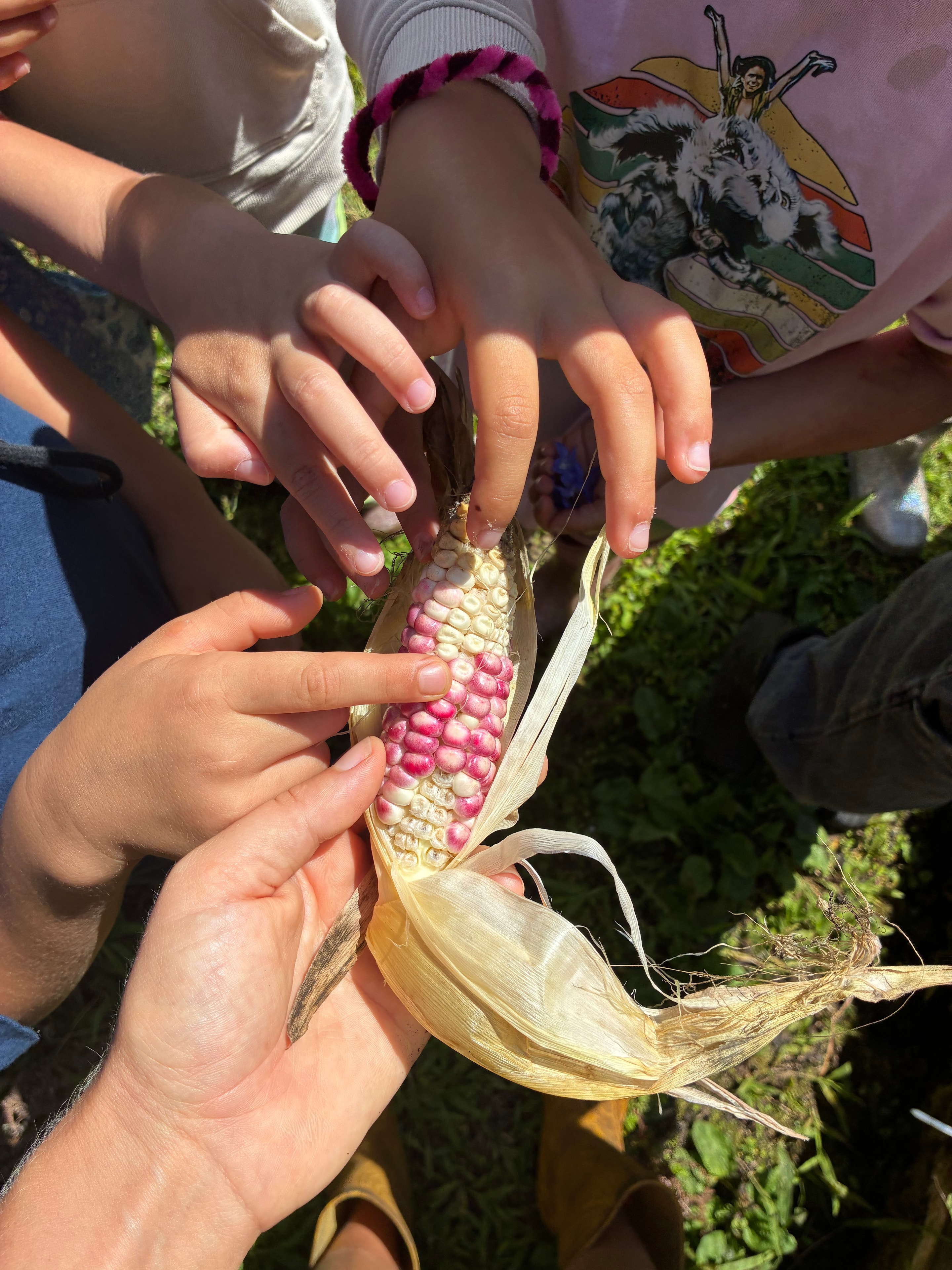 Gardening, Natural Sciences & Math