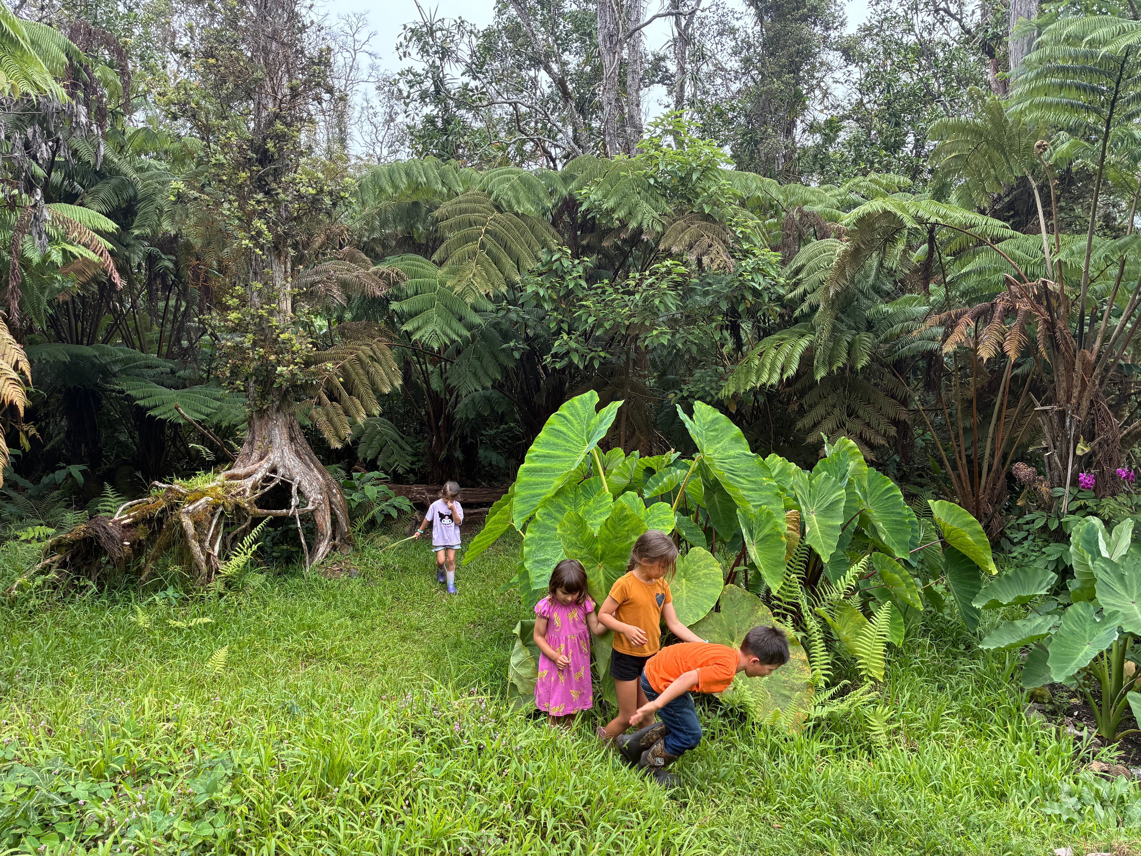 Child exploring nature with curiosity